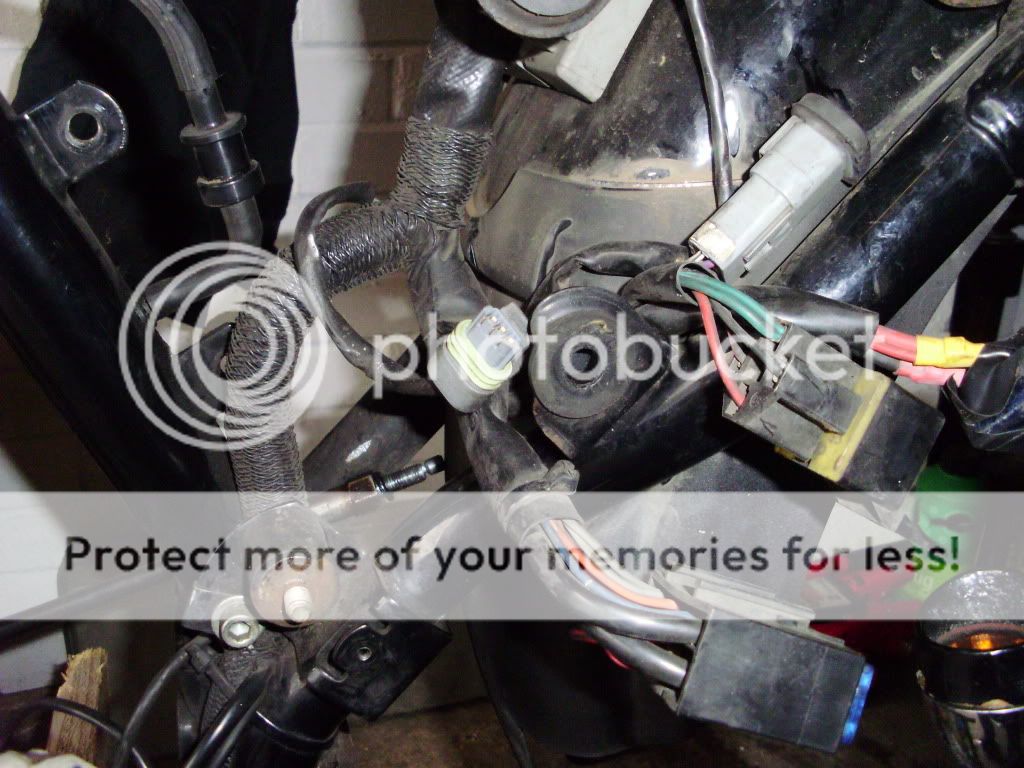 Harness routing any pics? - The Sportster and Buell ... buell motorcycle turn signal wiring diagram 